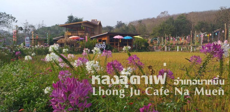 Lhongju Cafe ความเงียบสงบกับเสน่ห์ของชุมชน (อ.นาหมื่น)